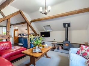 Fernseher