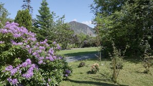 Un jardín con césped, árboles y flores moradas.