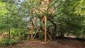 Eine Baumhauskonstruktion mit Holzrahmen und einer Plattform, umgeben von dichtem Grün.