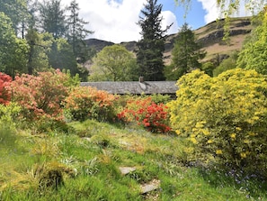 Property grounds - 4 Bed in Grange (SZ526) (Borrowdale)