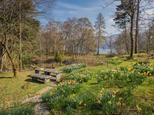 Property grounds - 4 Bed in Grange (SZ526) (Borrowdale)
