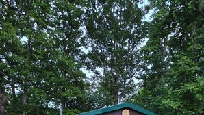Una cabaña rústica con un porche, una puerta verde y un letrero que dice 'Whiskey Ridge'.
