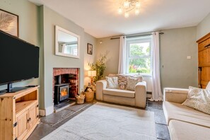 A cozy living room with a fireplace, a television, and a comfortable sofa. - 3 Bed in Lydbrook (oc-94490) (Central Lydbrook)