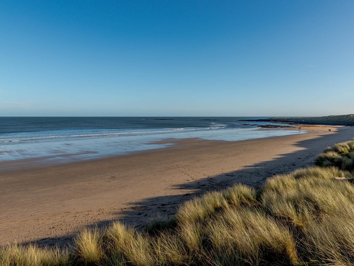 A beach with a clear sky, sandy shore, and grassy dunes.