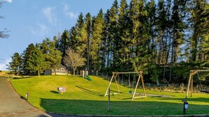 A grassy area with a swing set and a small shed.