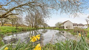 A river with daffodils, a house, and a clear sky. - 2 Bed in Woolacombe (oc-westd) (Woolacombe)