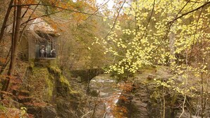 A rustic stone bridge, a small glass-walled viewing platform, and a forested area with autumn foliage. - 2 Bed in Birnam, Dunkeld (oc-ca266) (Birnam)