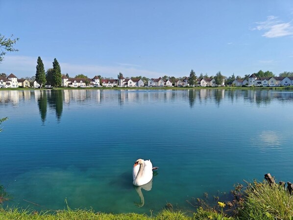 Miscellaneous - 3 Bed in Cirencester (oc-90082) (South Cerney)