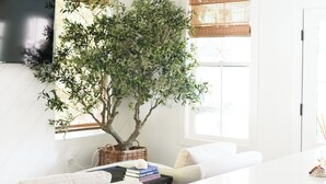Un salon moderne comprenant un canapé, une table basse, une table à manger, un arbre en pot et une planche de surf.
