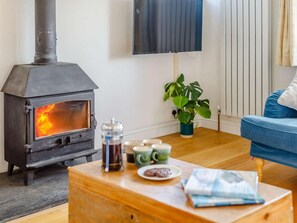 A living room with a wood-burning stove, a sofa, a coffee table with a plant, and a TV mounted on the wall. - 4 Bed in Plymouth (oc-81118) (Wembury)