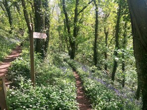 Property grounds - 4 Bed in Plymouth (oc-81118) (Wembury)
