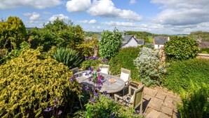 Un jardin avec une table ronde et des chaises, entouré de différentes plantes et arbres.