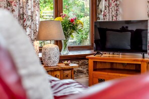 Fernseher