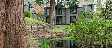 A modern house with a pond, wooden deck, and a large tree.