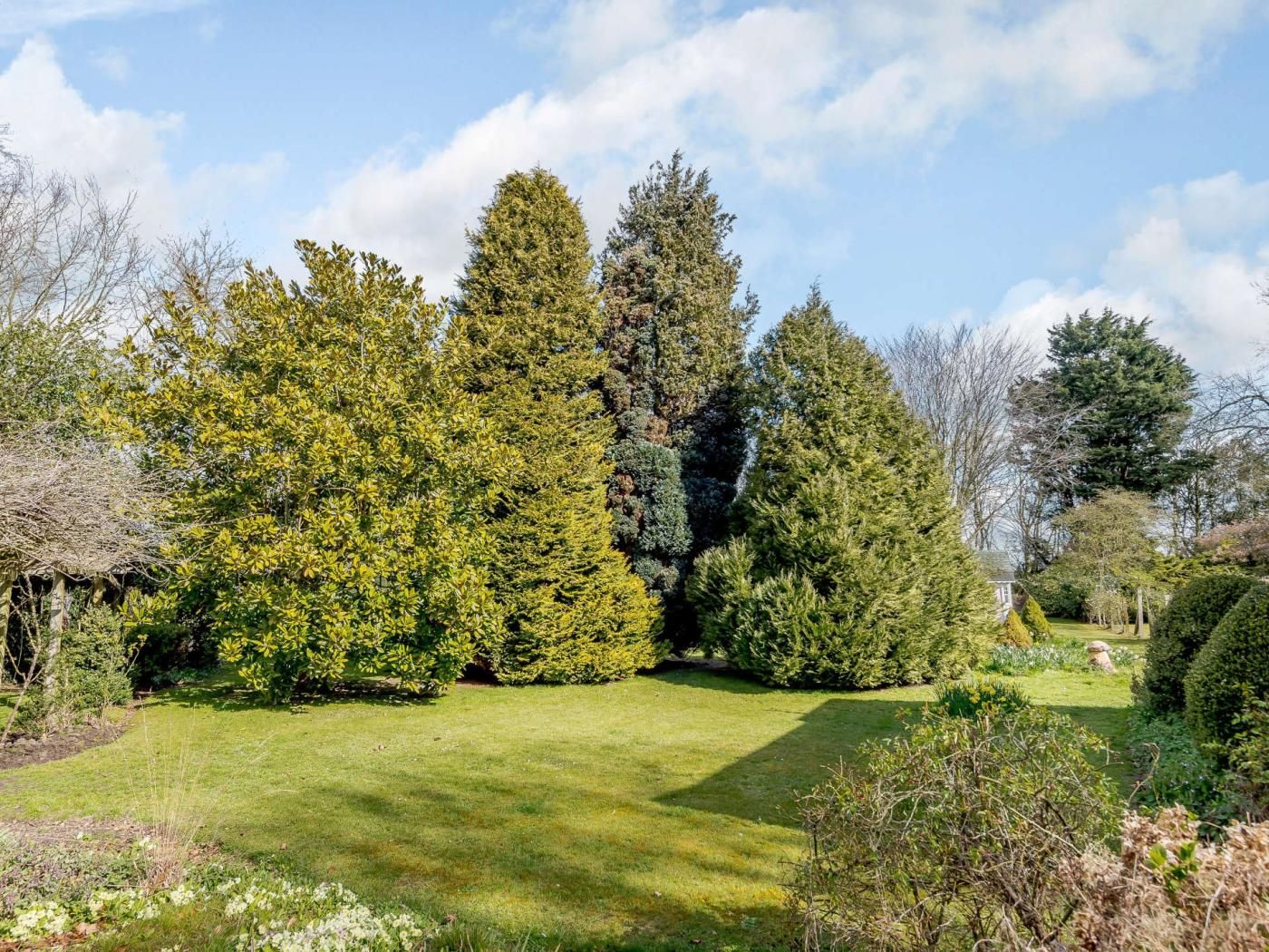A well-maintained garden with a variety of trees and shrubs, a clear sky, and a grassy lawn.
