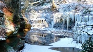 Un paysage hivernal avec une rivière gelée, des glaçons et des arbres sans feuilles.