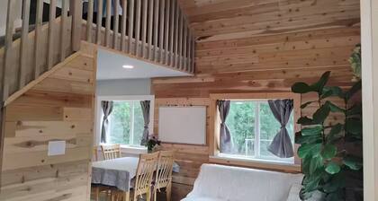 Modern cozy cabin in Willow