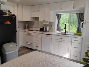 Private kitchen - Modern cozy cabin in Willow (Willow)