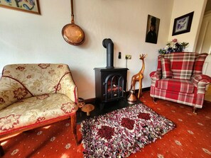 Ein Wohnzimmer mit einer Couch, einem Karo-Sessel, einem Kamin und einem Teppich.