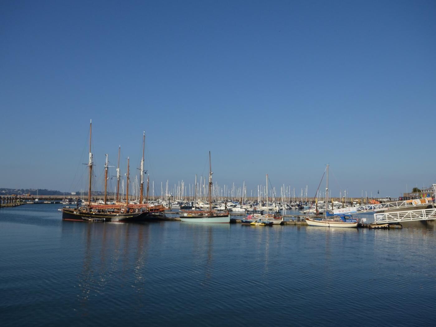 A marina with various boats docked, including sailboats and motorboats.