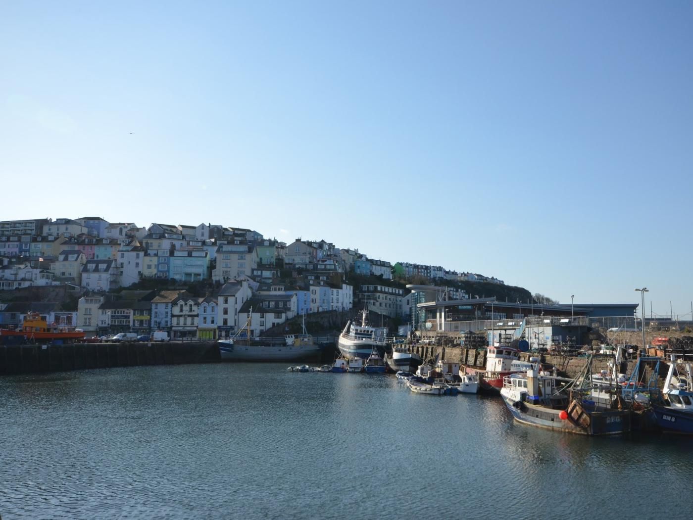 A coastal town with a harbor filled with boats, a hillside of colorful buildings, and a clear sky.
