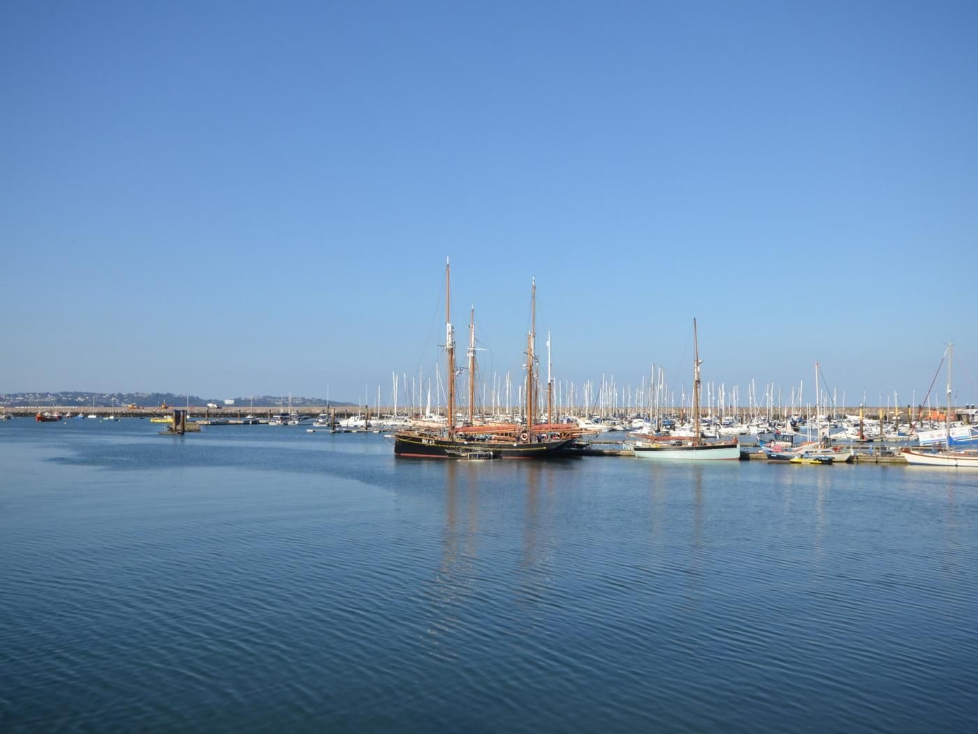 Ein Yachthafen mit mehreren angedockten Booten, ruhigem Wasser und blauem Himmel.