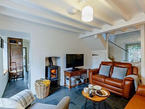 TV, fireplace - 3 Bed in Rhayader (oc-42759) (Rhayader)