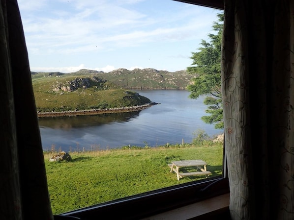 A view of a lake with a grassy area and a wooden bench.