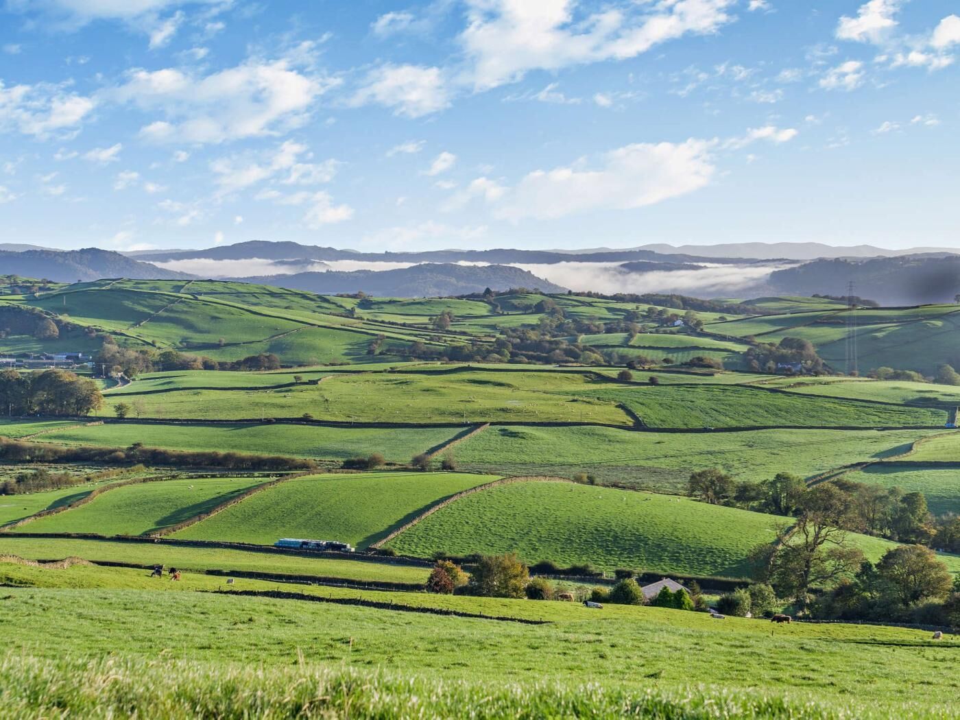 Rolling green hills, a clear sky, and distant mountains.
