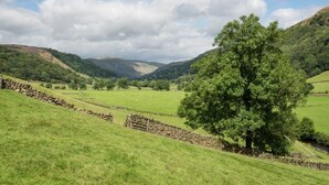 A rural landscape with rolling hills, a large tree, and stone walls. - 3 Bed in Kendal (oc-sz466) (Longsleddale)