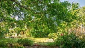 A patio with a round table and chairs, surrounded by brick walls and greenery. - 4 Bed in Dorchester (oc-dc190) (Winfrith Newburgh)