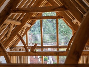 A wooden attic room with a cat on a beam, large windows, and a view of a garden. - 2 Bed in Holt (oc-ncc39) (Cley next the Sea)