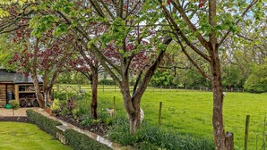 A rural landscape with a wooden cabin, a fenced field, and a variety of trees. - 1 Bed in Tewkesbury (oc-94686) (Bushley)