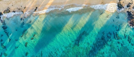 Plage à proximité