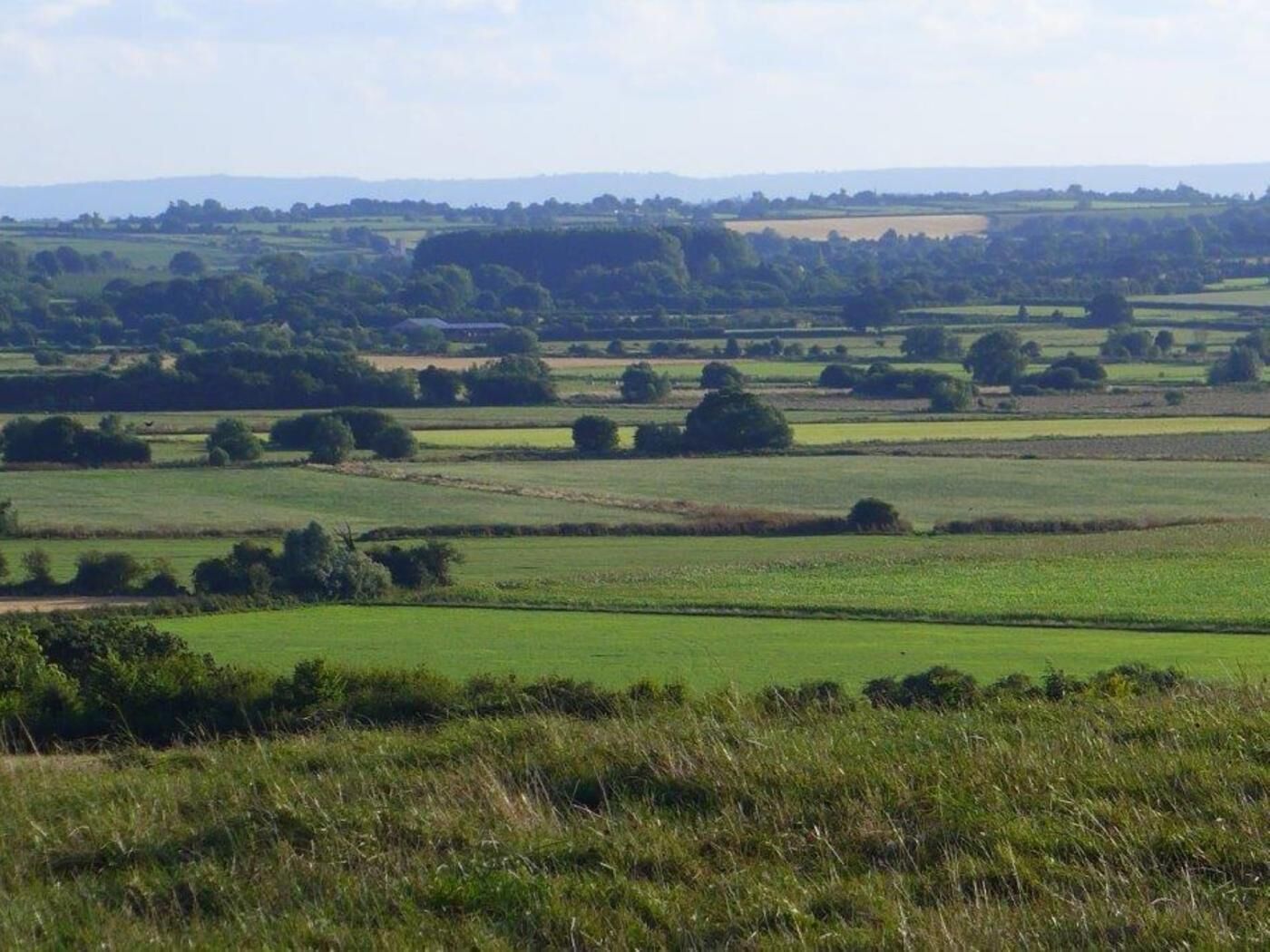 A rural landscape with fields and scattered trees.