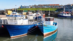 Um porto com barcos atracados, um edifício com telhados vermelhos ao fundo e um terraço gramado.
