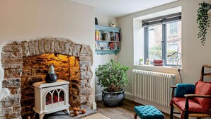 Una habitación acogedora con chimenea de piedra, un radiador, una ventana con vistas, una estantería y una planta en maceta.