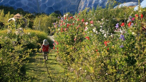 Ein Garten mit großen Geodätkuppeln im Hintergrund.