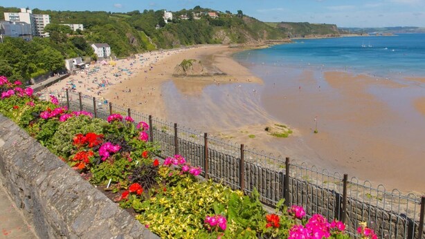 Une plage côtière avec un mur de pierres et des fleurs colorées au premier plan, une plage de sable et une mer bleue et limpide.