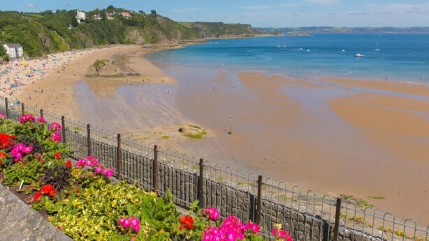 A coastal beach with a fence, flowers, and houses in the background. - 3 Bed in Tenby (oc-fb141) (Tenby)