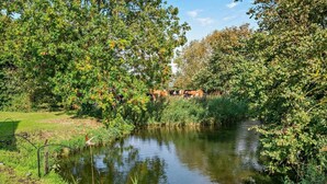 Une rivière paisible, bordée de chaque côté d’une végétation luxuriante et d’arbres.