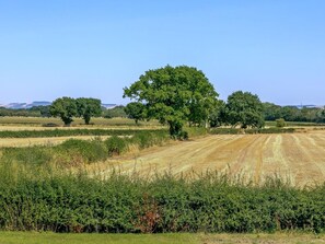 A rural landscape with fields, trees, and a clear sky. - 2 Bed in York (oc-g0154) (Ellerton)