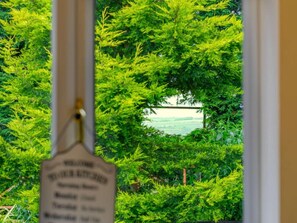Blick durch ein Fenster mit dichtem Grün, blauem Himmel und einer fernen Landschaft.