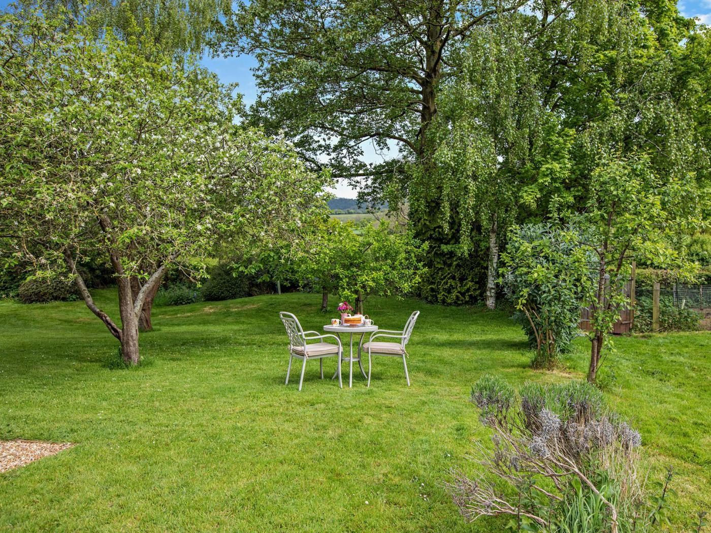A well-maintained garden with a table and chairs, surrounded by lush greenery and trees.