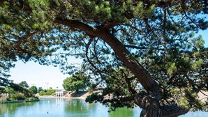 Vista di un lago con alberi lungo la riva e cielo sereno.