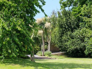 Ein gepflegter Garten mit verschiedenen Bäumen, blauem Himmel und einem gepflasterten Weg.