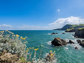 Miscellaneous - 3 Bed in Ilfracombe (oc-95047) (Ilfracombe)