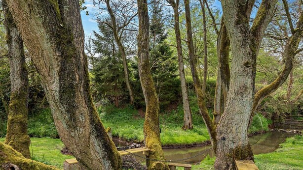 A forested area with a small stream, wooden benches, and a chain-link fence. - 2 Bed in Stoke-on-trent (oc-94790) (Waterhouses)