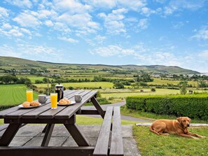 A picnic table with food and drinks, a dog, and a scenic view of rolling hills and a body of water.