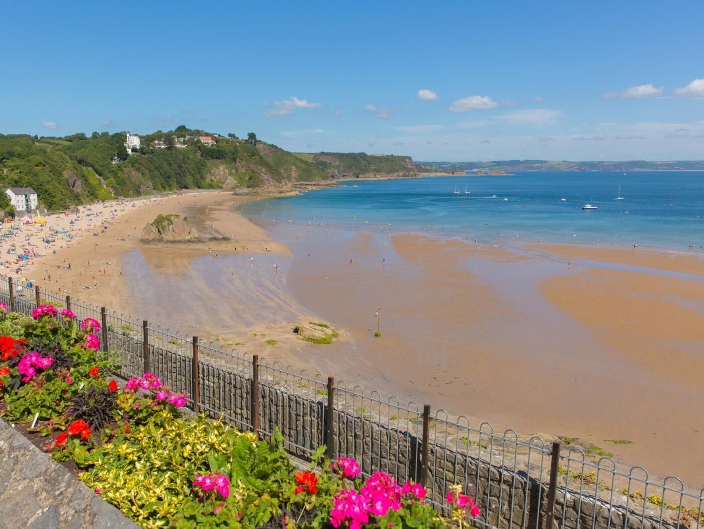 A coastal beach with a fence, flowers, and houses in the background.